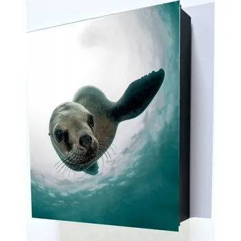 Železářství Skříňka na klíče s motivem tuleně. Tuleň a 14 háčků na vaše klíče a ovladače!