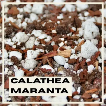 Substrát Rostlinkovo substrát Calathea & Maranta 5 litrů