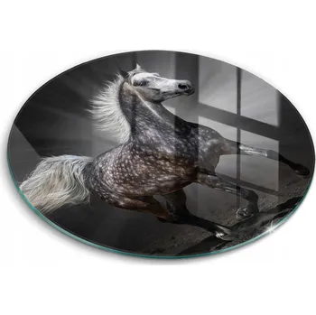 Kuchyňské prkénko Krájecí deska Wallfluent sklo 1 ks