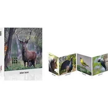 Leporelo Les-leporelo