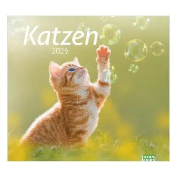 Diář times&more Katzen Bildkalender 2026 (DE)