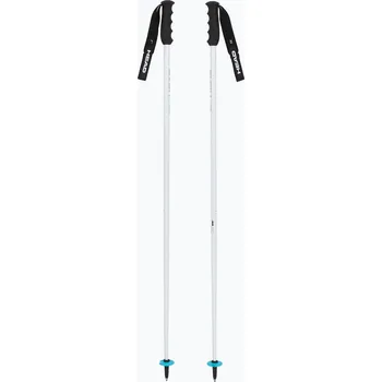 Sjezdové lyžování Lyžařské hole HEAD Worldcup SL white/black/speed blue