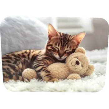 Podložka pod myš Podložka pod stůl 40x30 cm SPÍCÍ KOČKA S MEDVÍDKEM NA BÍLÉM KOBERCI