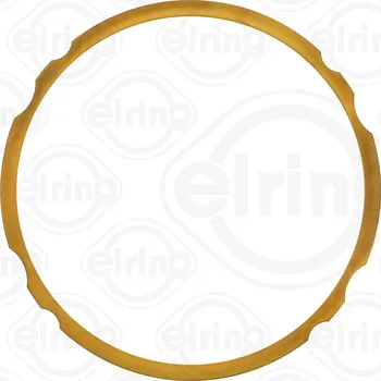 Těsnění motoru Těsnění válce, o-kroužek ELRING 753.719