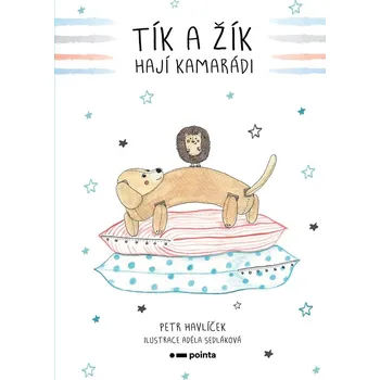 Tík a Žík, hají kamarádi - Petr Havlíček