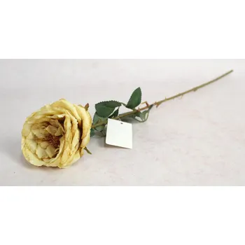 umělá květina Květina RŮŽE sušená výška 64 cm (květina 9x5 cm) BEŽOVÁ