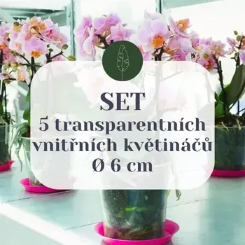 Květináč SET 5 průhledných vnitřních květináčů Ø 6 cm