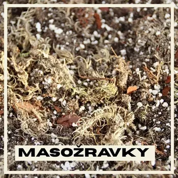 Substrát Rostlinkovo substrát Masožravky 3 litry