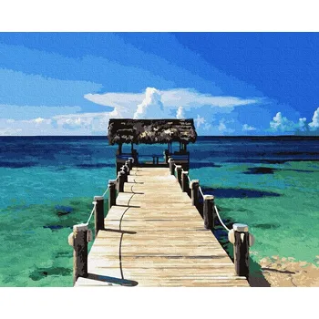 Obraz Malování podle čísel iPicasso 40x50 cm na rámu