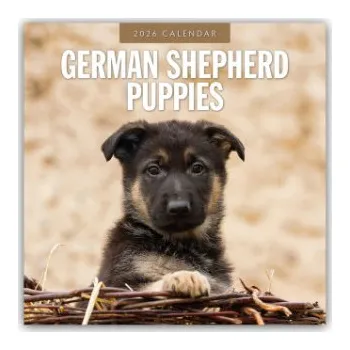 Diář German Shepherd Puppies - Deutsche Schäferhunde Welpen 2026 - 16-Monatskalender (EN)