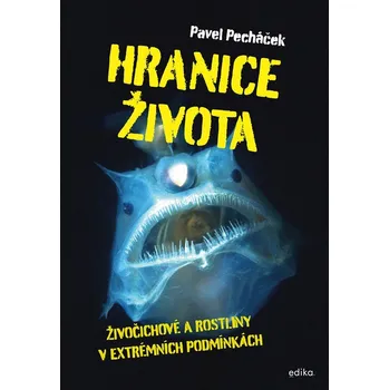 Kniha Hranice života - Pavel Pecháček