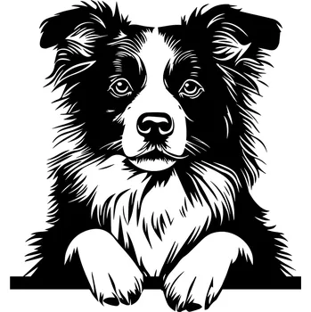 Samolepící dekorace Samolepka na zeď-Border Collie 20 x 22 cm