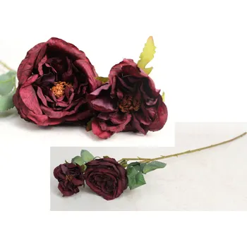 umělá květina Květina RŮŽE sušená výška 68 cm (dvě hlavy 7-9 cm) BORDO