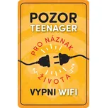 Plechová retro cedule Pozor Teenager 20…