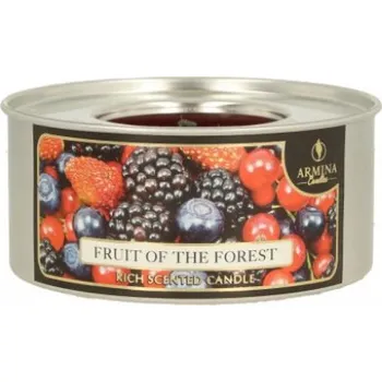 Svíčka Svíčka, zahradní pochodeň v plechovce 10x4,5 cm LESNÍ OVOCE 2