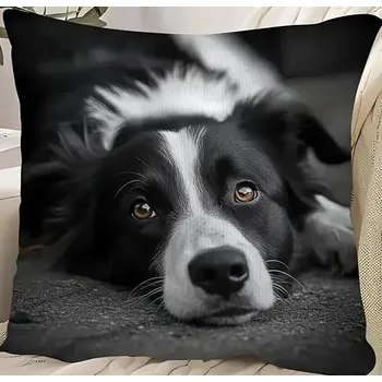 Polštář Polštář s náplní pejsek Border kólie