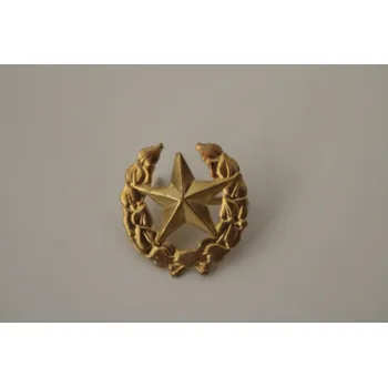 Odznak ČSLA vševojskový(lehký) - zlatý