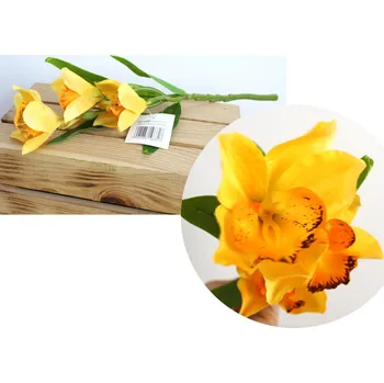 umělá květina Květina STORCZYK, ORCHIDEA výška 38 cm (3 květy 12 cm) ŽLUTÁ