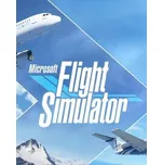 Microsoft Flight Simulator