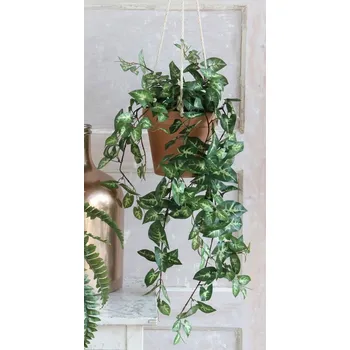 umělá květina Umělá rostlina Fittonia, 80 cm, zelená&nbsp;953285