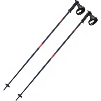 Lyžování Salomon Icon Ergo S3 W dark purple L41173400 110 cm