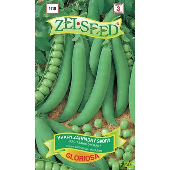 Semeno Hrách - Gloriosa raný 40g - ZELSEED