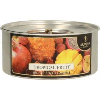 Svíčka Svíčka, zahradní pochodeň v plechovce 10x4,5 cm TROPICKÉ OVOCE 1