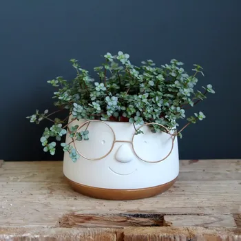 Květináč Květináč Nerd Gold edition Ø 12 cm