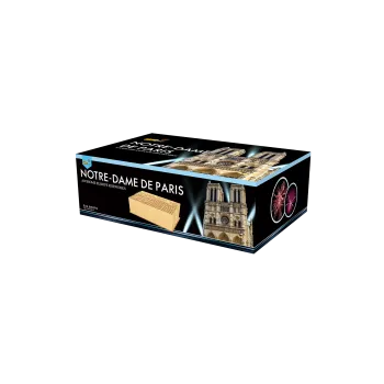 Zábavní pyrotechnika PyroMoravia Ohňostroj Notre-Dame De Paris - 224-ranná sada ohňostroje pro vlastní odpálení CPB8002