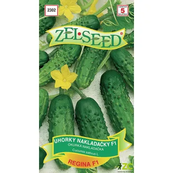 Semeno Okurka nakl. - Regina F1 hr. 1,8g - ZELSEED