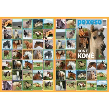 Pexeso Pexeso-Koně