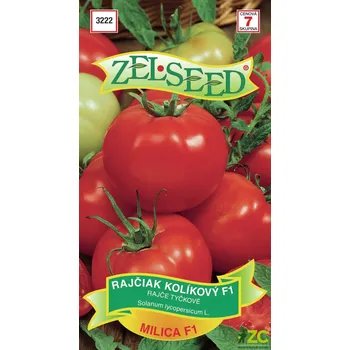 Semeno Rajče tyčkové - Milica F1 rané 0,2g - ZELSEED