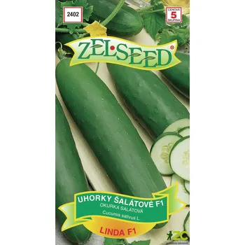 Semeno Okurka salát. - Linda F1 pole 1g - ZELSEED