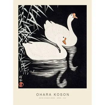 Plakát Plakát, Obraz - White Chinese Geese (Special Edition) - Ohara koson