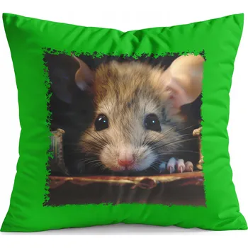 Polštář POLŠTÁŘ ZELENÝ DÁREK - ZVÍŘATA MYŠKA