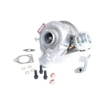 Turbodmychadlo Dmychadlo, plnění BTS Turbo T981041BL