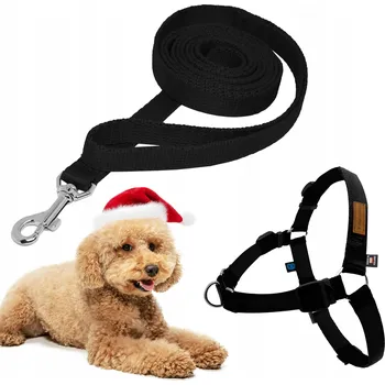 Postroj pro psa Sada Vodítko a postroje Easy Walk pro malého psa, 3 m, černá