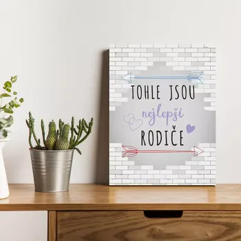 Plechová cedule Sablio Dárková cedulka Tohle jsou nejlepší rodiče: 30x40 cm