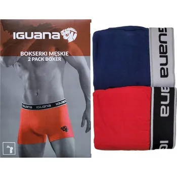 Pánské oblečení Pánské boxerky slipy BAVLNA IGUANA 2 kusy velikost M