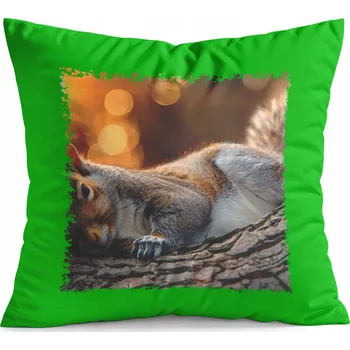 Polštář POLŠTÁŘ ZELENÝ DÁREK - DIVOKÁ ZVÍŘATA LESNÍ VEVERKA