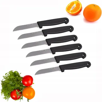 Kuchyňský nůž SADA 6 NOŽŮ kuchyňský nůž NA LOUPÁNÍ, KRÁJENÍ zeleniny OVOCE KAMILLE