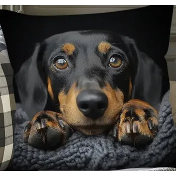 Polštář Polštář s náplní pejsek Jezevčík