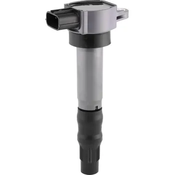 Zapalovací cívka Zapalovací cívka BorgWarner (BERU) ZSE310