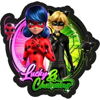 Dekorativní polštářek AYmax • Tvarovaný polštář Kouzelná beruška a Černý kocour - Ladybug and Cat Noir - motiv Lucky & Charming - 33 x 33 cm