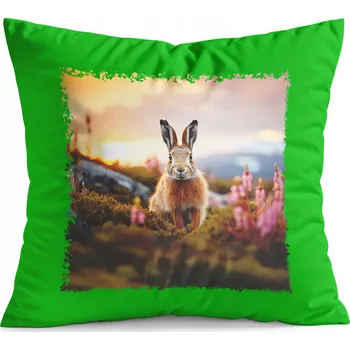 Polštář POLŠTÁŘ ZELENÝ DÁREK - ZVÍŘATA KRÁLÍK