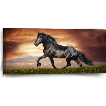 Obraz Sablio Obraz Friský kůň - 110x50 cm