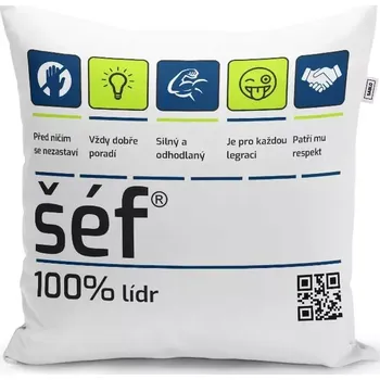 Polštář Sablio Polštář Šéf: 40x40 cm