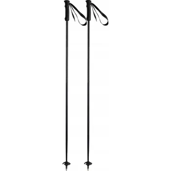 Sjezdová hůlka Lyžařské hole HEAD PRESTIGE CLOUD CARBON 115