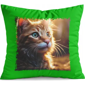 Polštář POLŠTÁŘ ZELENÝ DÁREK - ZVÍŘATA KOČKA KOTĚ SLADKÝ