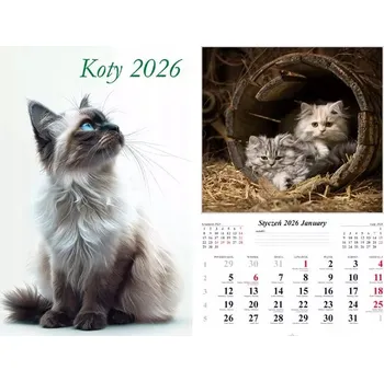 Kalendář Knižní kalendář 2026 A5, vícebarevný